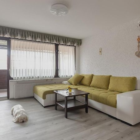 Family Apartment Nakiteya ليوبليانا المظهر الخارجي الصورة